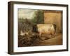 Portrait of a Prize Pig, Property of Squire Weston of Essex, 1810-Edwin Henry Landseer-Framed Giclee Print