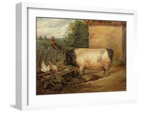 Portrait of a Prize Pig, Property of Squire Weston of Essex, 1810-Edwin Henry Landseer-Framed Giclee Print