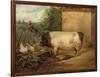 Portrait of a Prize Pig, Property of Squire Weston of Essex, 1810-Edwin Henry Landseer-Framed Giclee Print