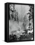 Portrait of A Raging Forrest Fire-null-Framed Stretched Canvas