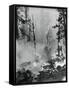 Portrait of A Raging Forrest Fire-null-Framed Stretched Canvas