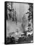 Portrait of A Raging Forrest Fire-null-Framed Stretched Canvas