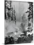 Portrait of A Raging Forrest Fire-null-Mounted Photographic Print