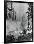 Portrait of A Raging Forrest Fire-null-Framed Photographic Print