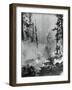 Portrait of A Raging Forrest Fire-null-Framed Photographic Print