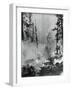 Portrait of A Raging Forrest Fire-null-Framed Photographic Print