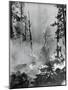 Portrait of A Raging Forrest Fire-null-Mounted Photographic Print