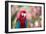 Portrait of a Red and Green Macaw-Alex Saberi-Framed Photographic Print