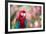 Portrait of a Red and Green Macaw-Alex Saberi-Framed Photographic Print