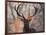 Portrait of a Red Deer Buck, Cervus Elaphus, in Winter-Alex Saberi-Framed Photographic Print