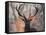 Portrait of a Red Deer Buck, Cervus Elaphus, in Winter-Alex Saberi-Framed Stretched Canvas