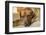 Portrait of a Red Fox (or Fox red) Labrador lying on the floor. (PR)-Janet Horton-Framed Photographic Print