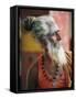 Portrait of a Sadhu, a Holy Man, Jaipur, Rajasthan State, India-Gavin Hellier-Framed Stretched Canvas