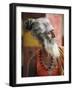 Portrait of a Sadhu, a Holy Man, Jaipur, Rajasthan State, India-Gavin Hellier-Framed Photographic Print