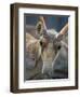 Portrait of a Saiga Male Cherniye Zemly Zapovednik, Russia-Igor Shpilenok-Framed Photographic Print