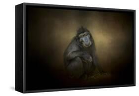 Portrait of a Savannah Baboon-Jai Johnson-Framed Stretched Canvas