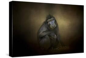 Portrait of a Savannah Baboon-Jai Johnson-Stretched Canvas