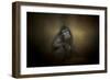 Portrait of a Savannah Baboon-Jai Johnson-Framed Giclee Print