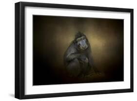 Portrait of a Savannah Baboon-Jai Johnson-Framed Giclee Print