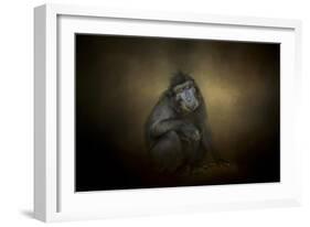 Portrait of a Savannah Baboon-Jai Johnson-Framed Giclee Print