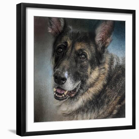 Portrait of a Shepherd-Jai Johnson-Framed Giclee Print