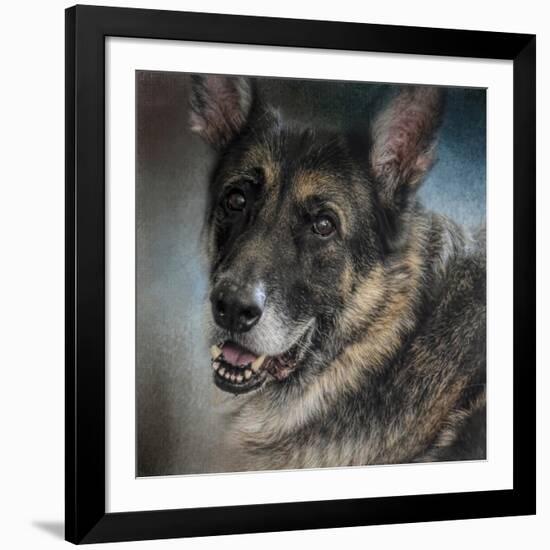 Portrait of a Shepherd-Jai Johnson-Framed Giclee Print