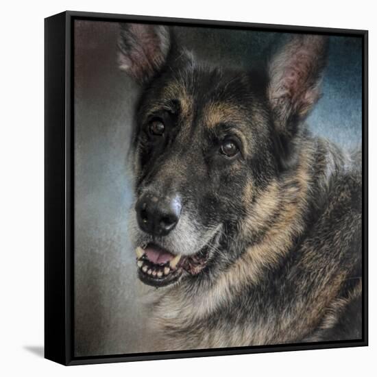 Portrait of a Shepherd-Jai Johnson-Framed Stretched Canvas