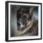 Portrait of a Shepherd-Jai Johnson-Framed Premium Giclee Print