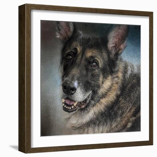 Portrait of a Shepherd-Jai Johnson-Framed Giclee Print