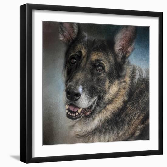 Portrait of a Shepherd-Jai Johnson-Framed Giclee Print