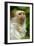 Portrait of a Silvery Marmoset (Mico - Callithrix Argentata)-Daniel Heuclin-Framed Photographic Print