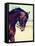 Portrait of A Sports Horse.-AZALIA-Framed Stretched Canvas