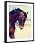 Portrait of A Sports Horse.-AZALIA-Framed Photographic Print