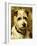 Portrait of a Terrier: Darkie, 1903-John Emms-Framed Giclee Print