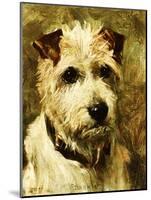Portrait of a Terrier: Darkie, 1903-John Emms-Mounted Giclee Print