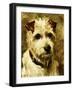 Portrait of a Terrier: Darkie, 1903-John Emms-Framed Giclee Print