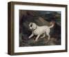 Portrait of a Terrier-Edwin Henry Landseer-Framed Giclee Print