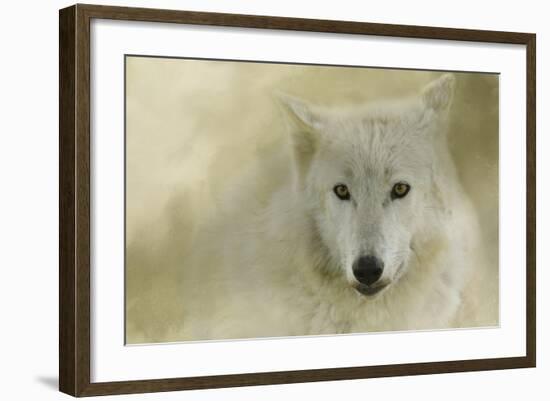 Portrait of a Timber Wolf-Jai Johnson-Framed Giclee Print