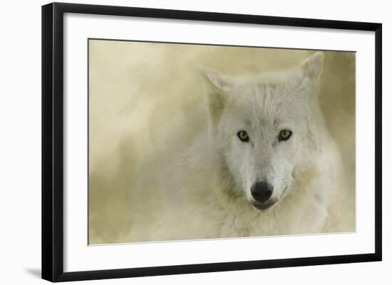 Portrait of a Timber Wolf-Jai Johnson-Framed Giclee Print