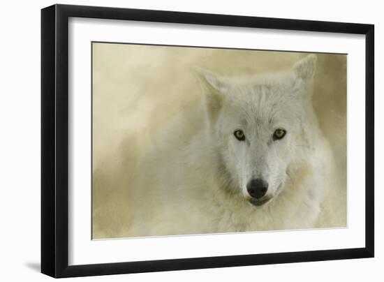 Portrait of a Timber Wolf-Jai Johnson-Framed Giclee Print