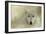 Portrait of a Timber Wolf-Jai Johnson-Framed Giclee Print