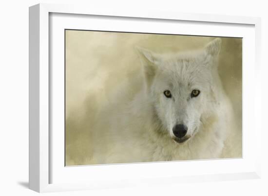 Portrait of a Timber Wolf-Jai Johnson-Framed Giclee Print