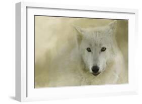 Portrait of a Timber Wolf-Jai Johnson-Framed Giclee Print