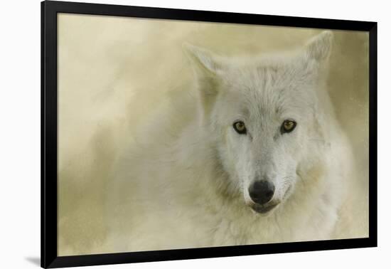 Portrait of a Timber Wolf-Jai Johnson-Framed Giclee Print