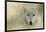 Portrait of a Timber Wolf-Jai Johnson-Framed Giclee Print