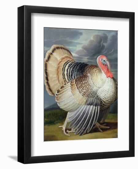 Portrait of a Turkey-Johann Wenceslaus Peter Wenzal-Framed Premium Giclee Print