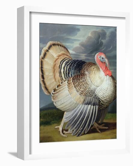 Portrait of a Turkey-Johann Wenceslaus Peter Wenzal-Framed Giclee Print