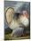 Portrait of a Turkey-Johann Wenceslaus Peter Wenzal-Mounted Giclee Print