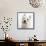 Portrait of a West Highland White Terrier-Mark Taylor-Framed Stretched Canvas displayed on a wall