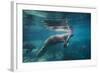 Portrait of a West Indian Manatee or "Sea Cow" in Crystal River, Three Sisters Spring, Florida-Karine Aigner-Framed Photographic Print